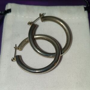 Elegant Silver Hoop Earrings